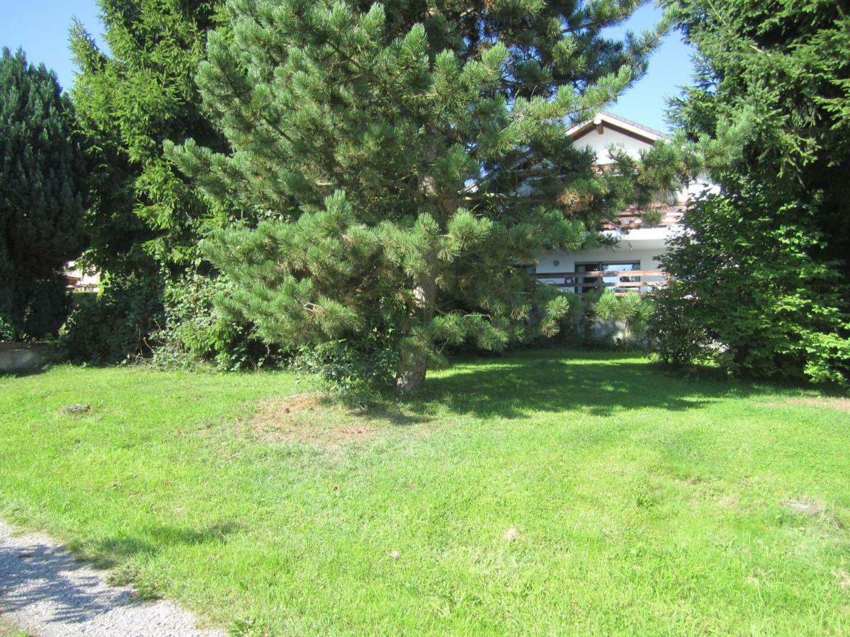 Apartament Haus Alexander Mechernich Zewnętrze zdjęcie
